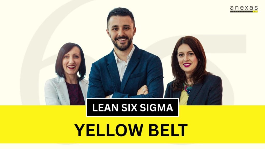 Yellow Belt